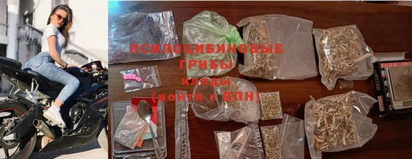 крисы Новокубанск