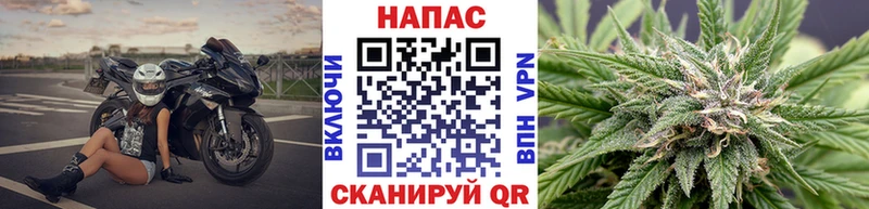 Марихуана сатива  ОМГ ОМГ ТОР  Ахтырский  как найти  